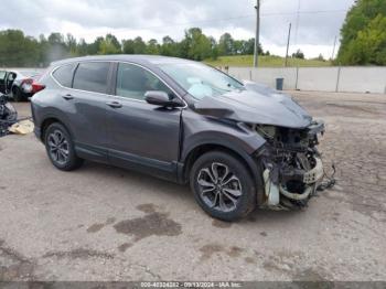  Salvage Honda CR-V