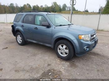  Salvage Ford Escape