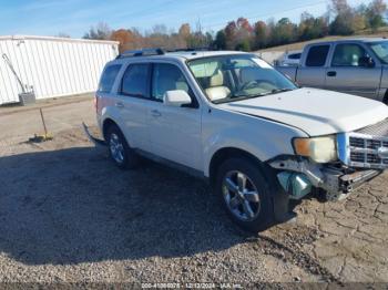  Salvage Ford Escape