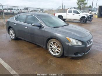  Salvage Nissan Maxima