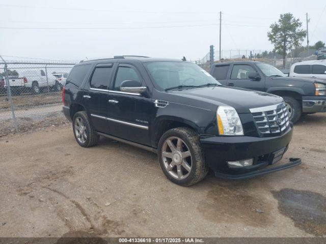  Salvage Cadillac Escalade