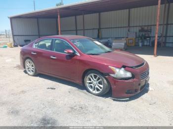  Salvage Nissan Maxima