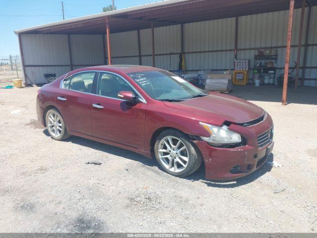  Salvage Nissan Maxima