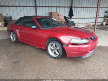  Salvage Ford Mustang