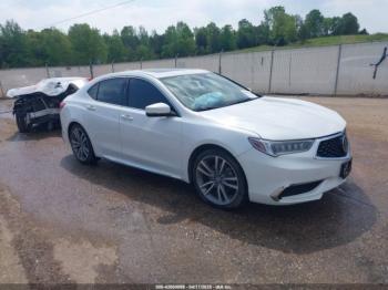  Salvage Acura TLX