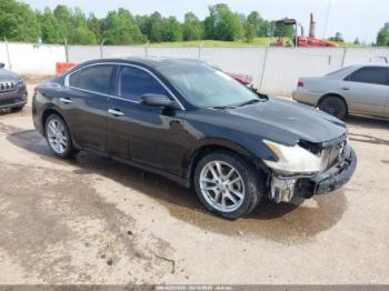  Salvage Nissan Maxima