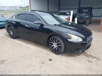  Salvage Nissan Maxima