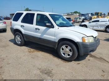  Salvage Ford Escape