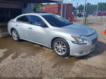  Salvage Nissan Maxima