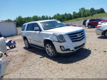  Salvage Cadillac Escalade