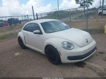  Salvage Volkswagen Beetle