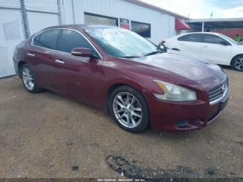  Salvage Nissan Maxima
