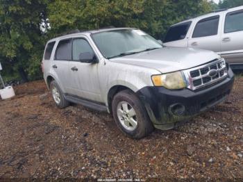  Salvage Ford Escape
