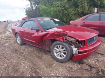  Salvage Ford Mustang