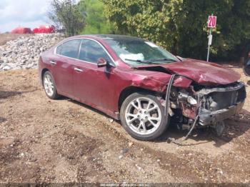  Salvage Nissan Maxima