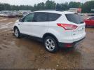 Ford Escape Se Image 6