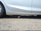 Chevrolet Cruze Premier Auto Image 13