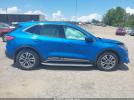 Ford Escape Sel Image 10