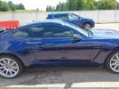 Ford Shelby Gt350 Image 15