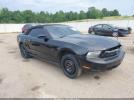 Ford Mustang Image 1