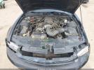 Ford Mustang Image 4