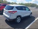Ford Escape Se Image 13