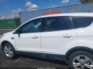 Ford Escape Se Image 11