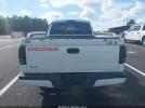 Dodge Dakota Sport Image 15