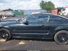 Ford Mustang Gt Image 11