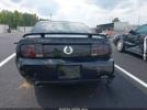 Ford Mustang Gt Image 12