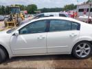 Nissan Maxima 3.5 Se Image 13