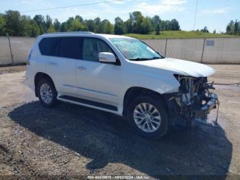  Salvage Lexus 460