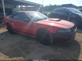  Salvage Ford Mustang