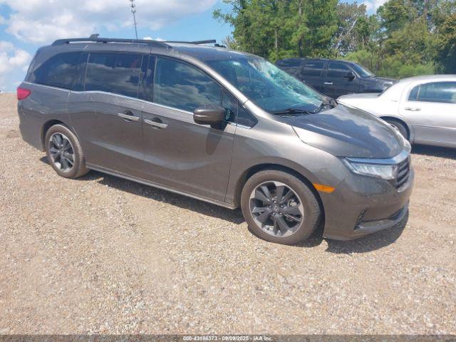  Salvage Honda Odyssey