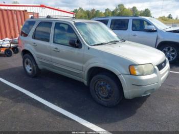  Salvage Ford Escape